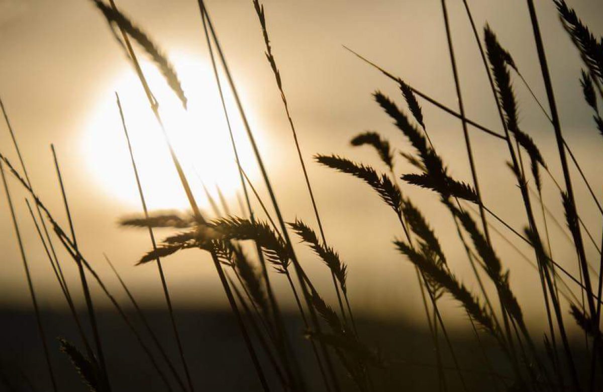 choosingtoliveandlove